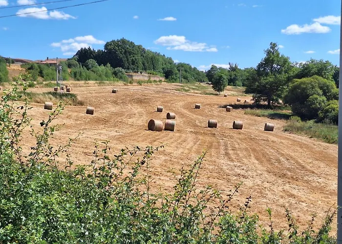 Les Rossignols 度假居 *